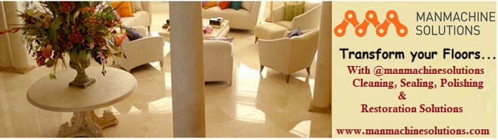 carpet cleaning themaids